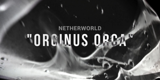 Naslovna. Orcinus orca_w-titles.00_00_05_10.Still023